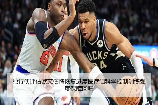 独行侠评估欧文伤情恢复进度医疗组科学控制训练强度保障回归